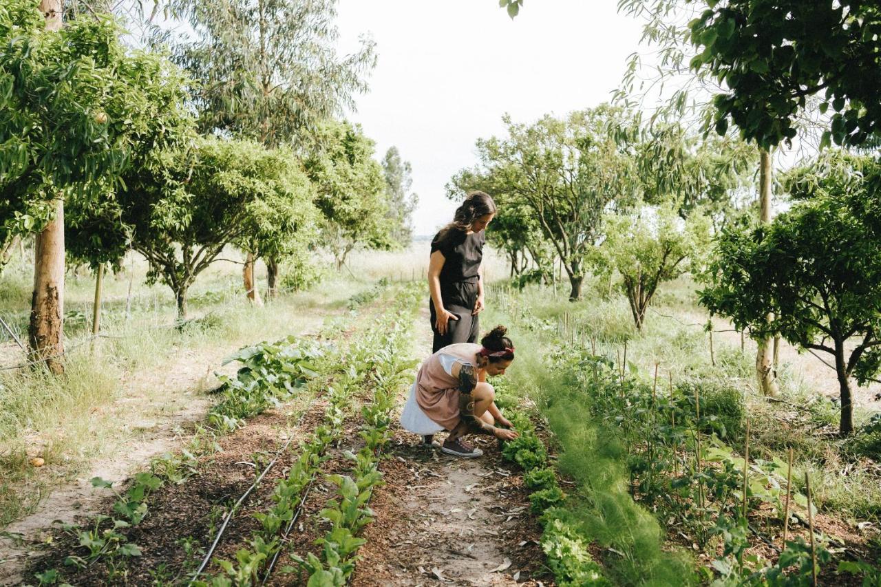 Humus Farm Βίλα Águas de Moura Εξωτερικό φωτογραφία